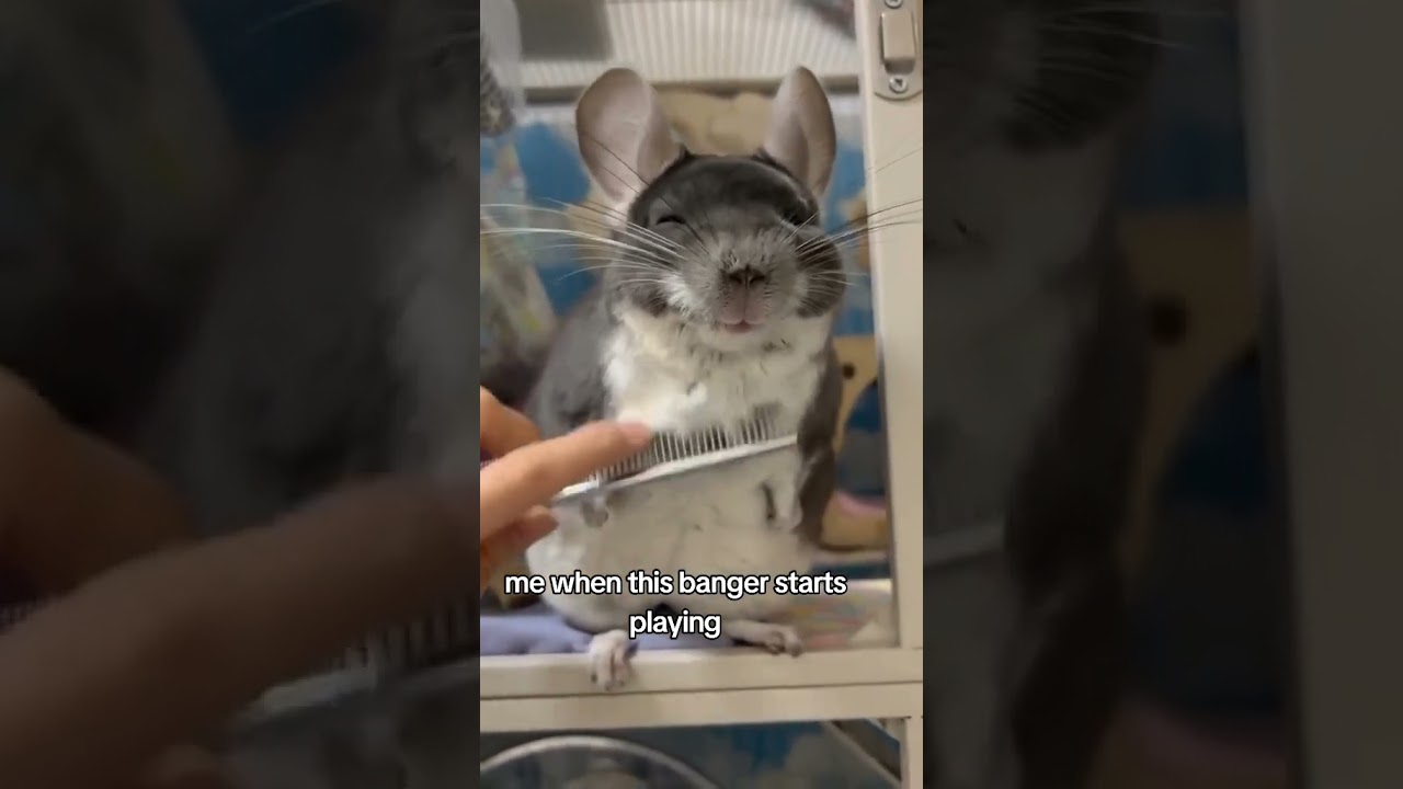Watch S.L.O.T.H by SlothHates #music #slothhates #undergroundmusic #blowthisup #music #blowup #song #meme on YouTube Watch S.L.O.T.H by SlothHates #music #slothhates #undergroundmusic #blowthisup #music #blowup #song #meme on YouTube