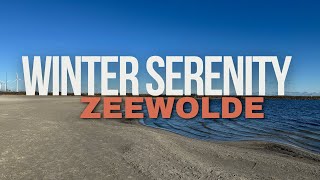 Winter Serenity in Tulip Island, Zeewolde | Relaxing Nature Walk