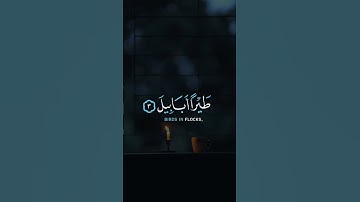 الشيخ ماهر المعيقلي || سوره الفيل || حالات واتس قرأن || Quran Status 💙