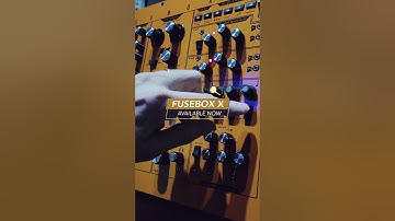 Fusebox X Synthesizer by Analogue Solutions: Patternator at Work