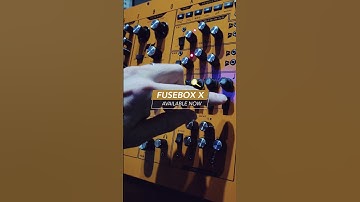 Fusebox X Synthesizer by Analogue Solutions: Patternator at Work