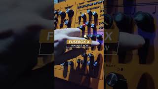 Fusebox X Synthesizer by Analogue Solutions: Patternator at Work