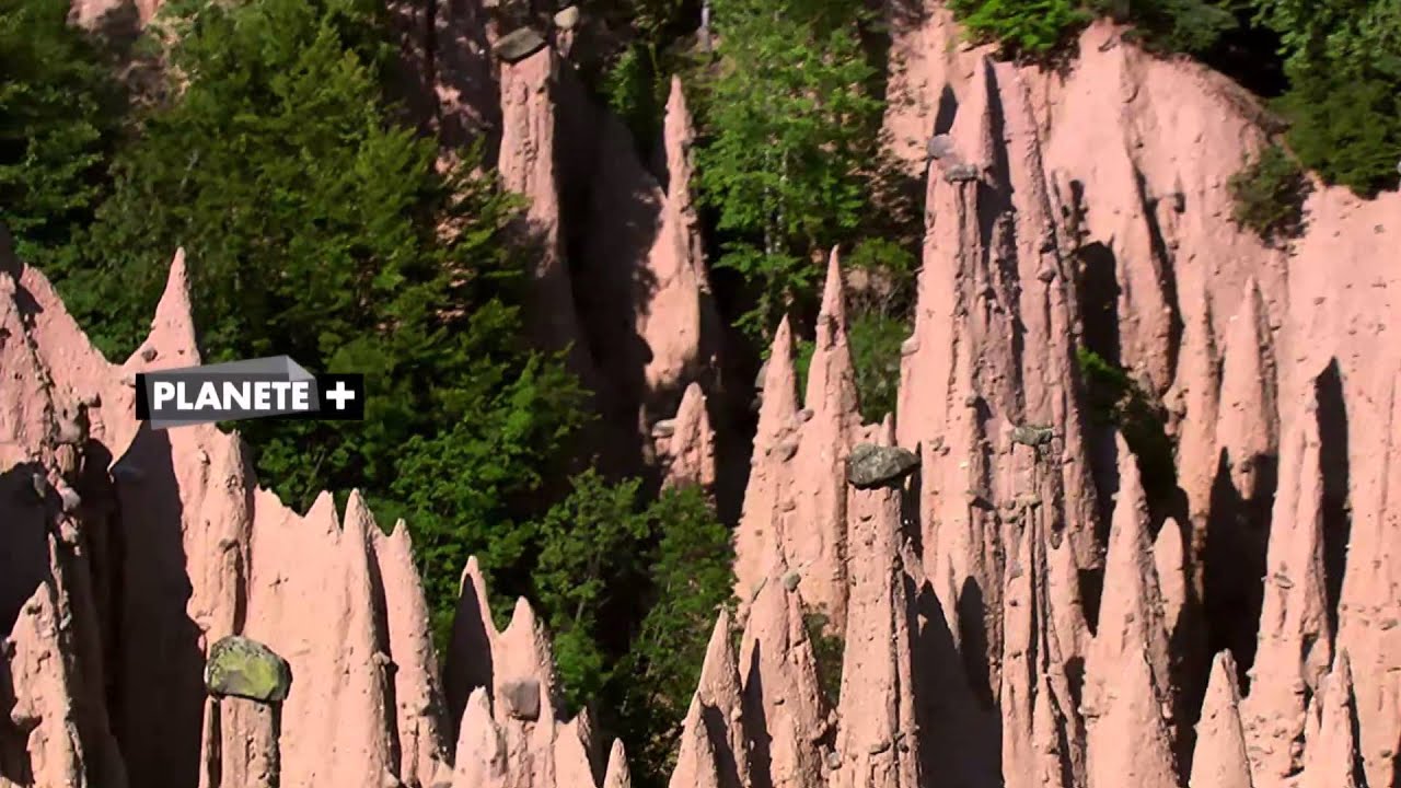 nc+ oferta programowa