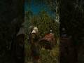 Witcher 3 Hidden Treasure Most Players Missed