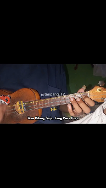 Melodi Stecu cover kentrung senar 3 by taripang #shorts #short