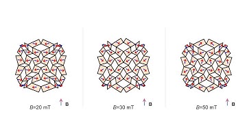 Physics-aware differentiable design of magnetically actuated kirigami for shape morphing: Video 1