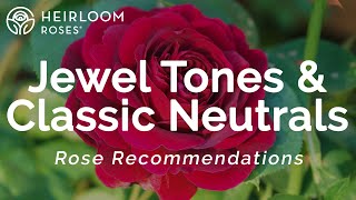 Jewel Tones &amp; Classic Neutral Roses | Rose Recommendations