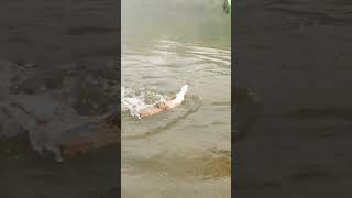 The Best Outdoor Food Trick