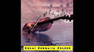 Colaj formația Fulger.🥂