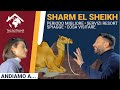 Andiamo a... Sharm el Sheikh. Mini-guida su cosa visitare, qual è il periodo migliore e tanto altro!