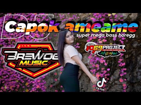 DJ CAPOK AMEAME FEAT 69 PROJECT // super mega bass horegg by. brewog music
