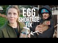 Egg shortage FIX? Working on our chicken coop - vlog #296