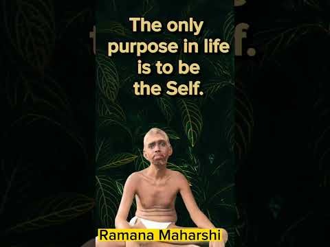 The Real Purpose