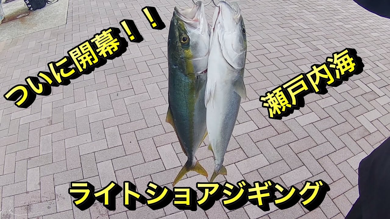 10月上旬 ライトショアジギング 青物シーズン開幕 Youtube 10月上旬 ライトショアジギング 青物シーズン開幕 Youtube