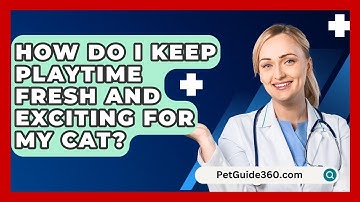 How Do I Keep Playtime Fresh And Exciting For My Cat? - PetGuide360.com