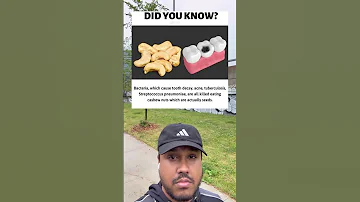 Cashews Can Kill Tooth Decay 