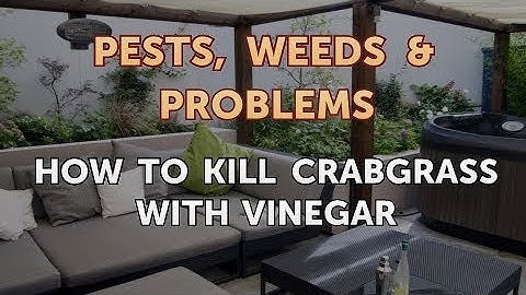 How to Kill Crabgrass With Vinegar
