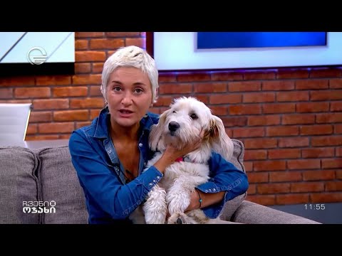 უსაყვარლესი ცუგა ეძებს ახალ პატრონს