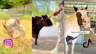 Interesting Farm Animal Facts and Moments | The Gentle Barn Video Compilation