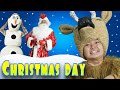 Christmas Baby Shark | Santa Songs and Nursery Rhymes | Tigi Boo