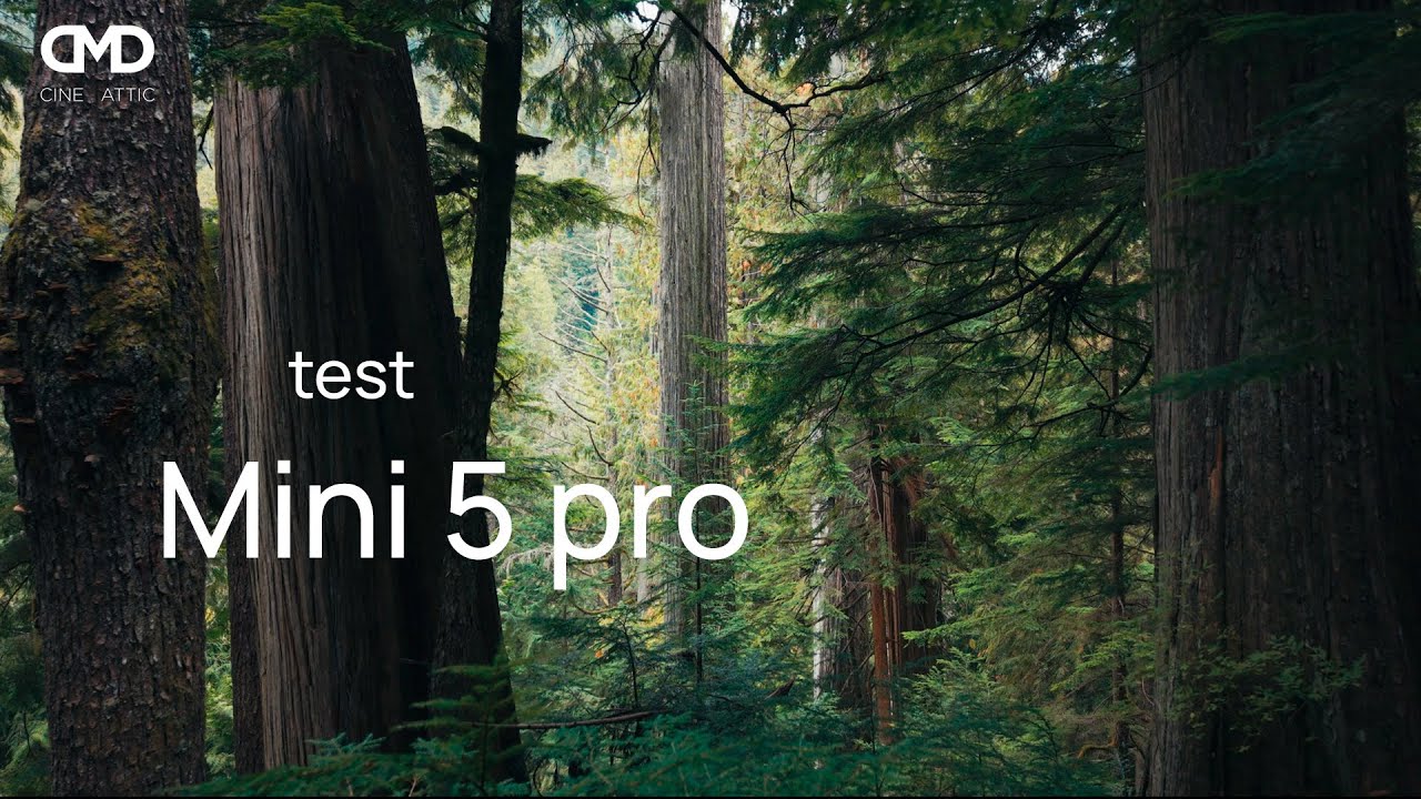 DJI Mini 5 pro sensor/video footage test | West Coast rainforest. - YouTube