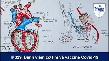 #329. Bệnh viêm cơ  tim (Myocarditis) và vaccine Covid-19