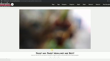 LayerSlider Video Background Autoplay Issue