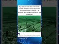 Hey, did you hear about the world's largest medieval cargo ship found off Copenhagen? Svcelget 2
