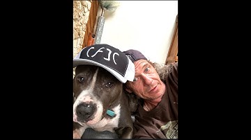 DOGS & CAWFFEE#shadetreearmy #smallyoutuber #harleyvlogger #dogs #deadandcompany #gratefuldead