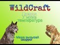 | WildCraft | Прикол | У мужа температура |