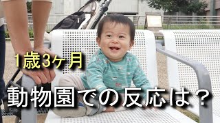 【前回は休園日でリベンジ達成】やっと行けた動物園で動物以外に喜ぶ息子！