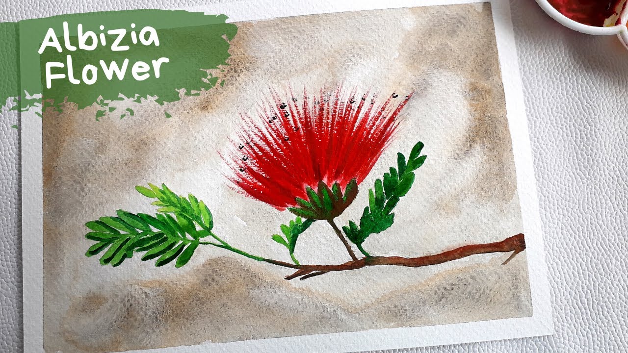 Albizia Flower Watercolor Painting Step By Step Tutorial for Beginners