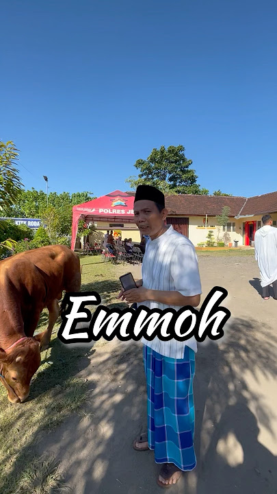 SAPI INI BISA NGOMONG ?