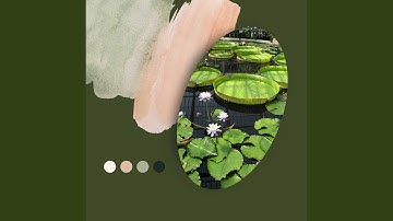 Mysterious Lazy Days