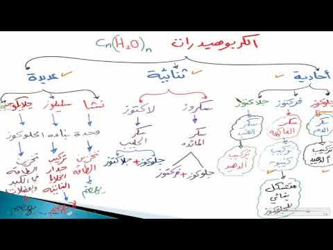 الكربوهيدرات السكريات الكيمياء الحيوية