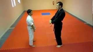 One Step Sparring 1