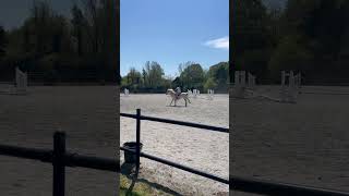 Back on shmeee! #equestrianjourney #equestrian #kayburtequinetherapy #horse #pony #fypシ