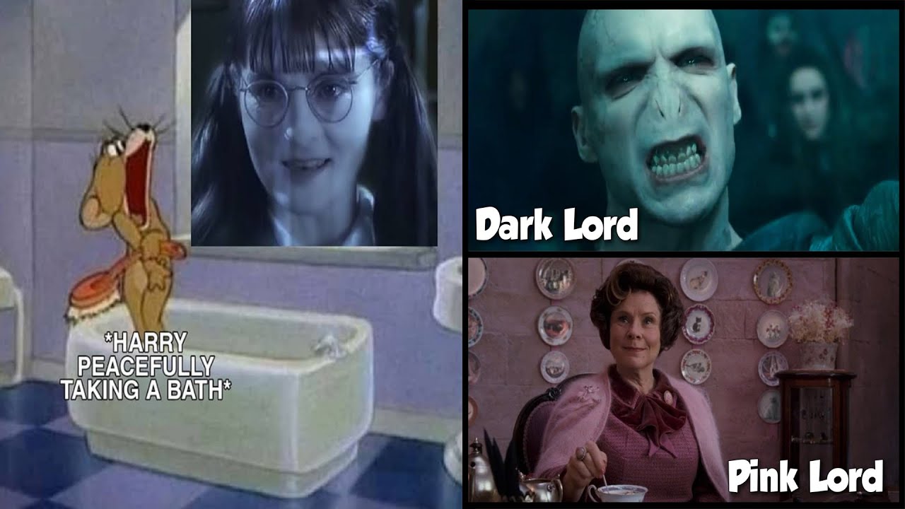 Only Harry Potter fans will find funny #30