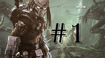 Aliens vs Predator - Walkthrough - Predator - Part 1 - No commentary