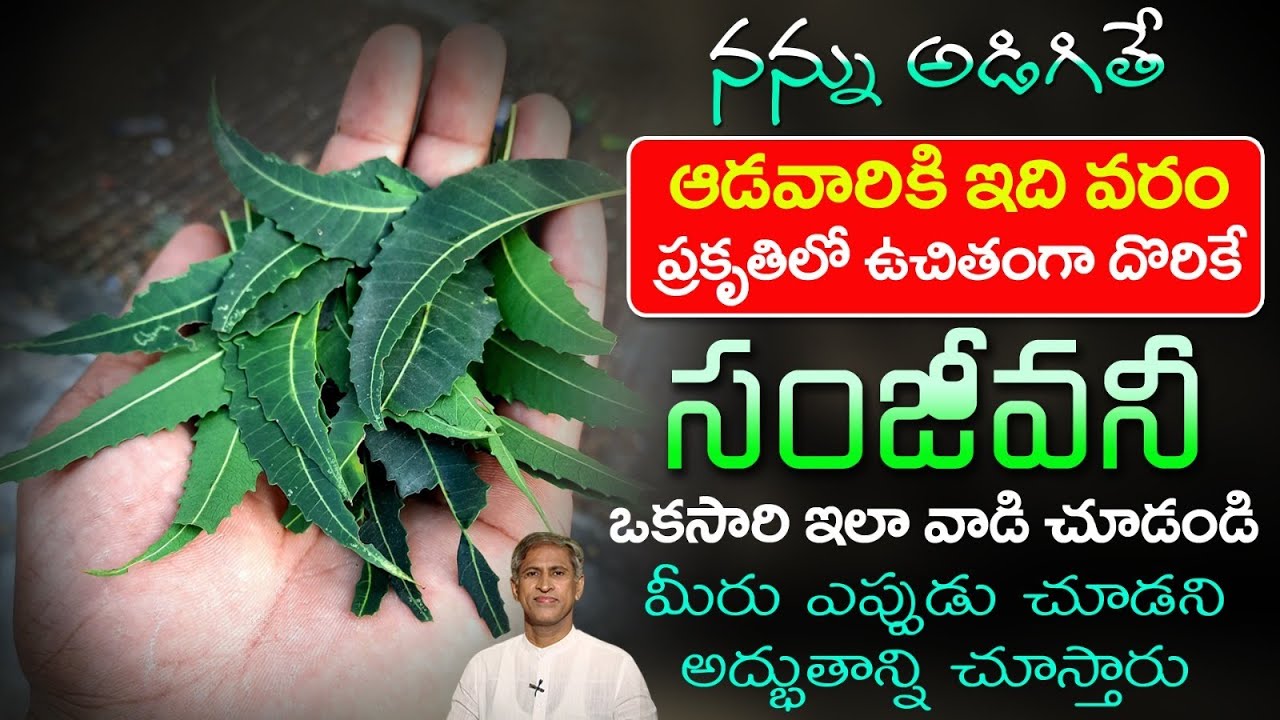 How to Reduce Pelvic Inflammatory Disease? | White Discharge | Fertility | Dr.Manthena's Health Tips