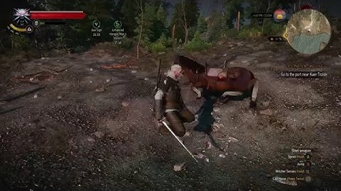 The Witcher 3 Walking Glitch