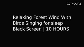 Relaxing Forest Sounds with Wind and Birds | 10 Hours Deep Sleep Ambience