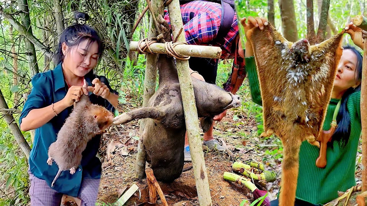 全能荒野小表妹，一次看爽野外生存365天，豪豬、野豬、竹鼠，甚至還有極品野貨，就這荒野真是絕了啊！