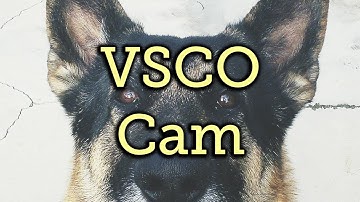 Get Professional-Looking Photos on Your Nexus 7 Tablet Using VSCO Cam [How-To]