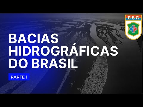 Principais características das