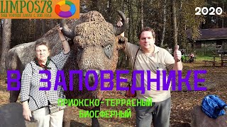 Едем в Приокско-Террасный Биосферный Заповедник! + др. места. 2020