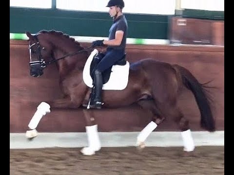 Quasar De Charry 2017 Quasar De Charry 2017