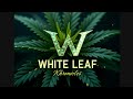 4x4 grow tent episode #1