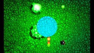 Snake Freemium for BlackBerry by XIMAD screenshot 3