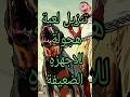 تنزيل لعبة هجولة للاجهزه الضعيفة Shorts